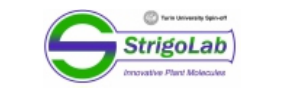 strigolab